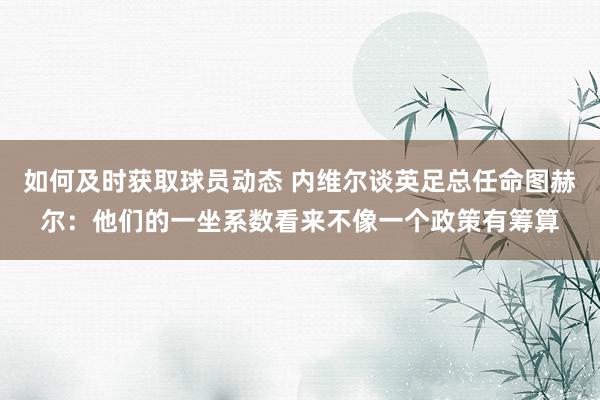 如何及时获取球员动态 内维尔谈英足总任命图赫尔：他们的一坐系数看来不像一个政策有筹算