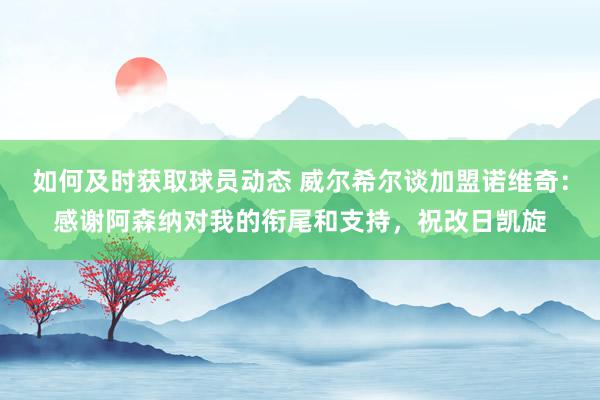 如何及时获取球员动态 威尔希尔谈加盟诺维奇：感谢阿森纳对我的衔尾和支持，祝改日凯旋