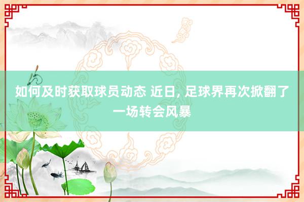 如何及时获取球员动态 近日, 足球界再次掀翻了一场转会风暴