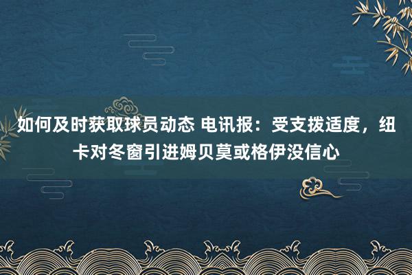 如何及时获取球员动态 电讯报：受支拨适度，纽卡对冬窗引进姆贝莫或格伊没信心