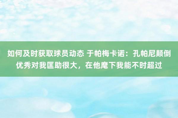 如何及时获取球员动态 于帕梅卡诺：孔帕尼颠倒优秀对我匡助很大，在他麾下我能不时超过