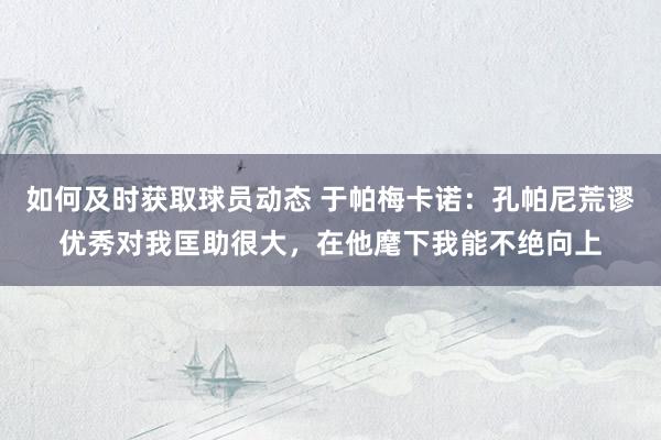 如何及时获取球员动态 于帕梅卡诺：孔帕尼荒谬优秀对我匡助很大，在他麾下我能不绝向上