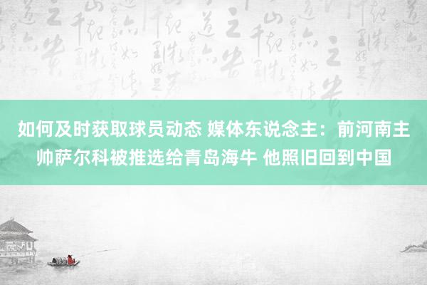 如何及时获取球员动态 媒体东说念主：前河南主帅萨尔科被推选给青岛海牛 他照旧回到中国