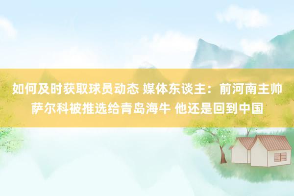 如何及时获取球员动态 媒体东谈主：前河南主帅萨尔科被推选给青岛海牛 他还是回到中国