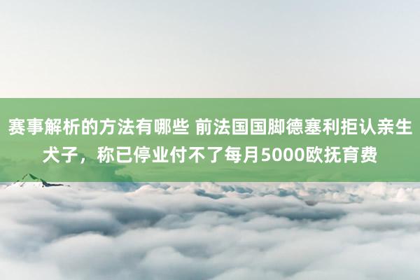 赛事解析的方法有哪些 前法国国脚德塞利拒认亲生犬子，称已停业付不了每月5000欧抚育费