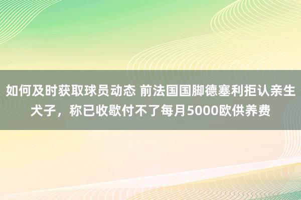 如何及时获取球员动态 前法国国脚德塞利拒认亲生犬子，称已收歇付不了每月5000欧供养费