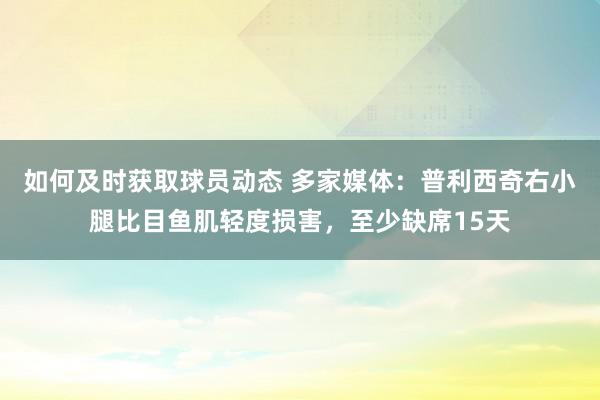 如何及时获取球员动态 多家媒体：普利西奇右小腿比目鱼肌轻度损害，至少缺席15天