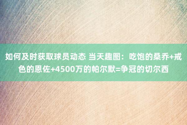 如何及时获取球员动态 当天趣图：吃饱的桑乔+戒色的恩佐+4500万的帕尔默=争冠的切尔西