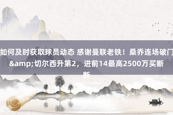 如何及时获取球员动态 感谢曼联老铁！桑乔连场破门&切尔西升第2，进前14最高2500万买断