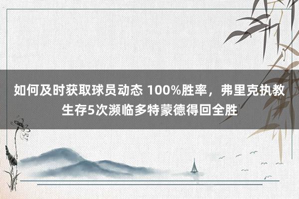 如何及时获取球员动态 100%胜率，弗里克执教生存5次濒临多特蒙德得回全胜