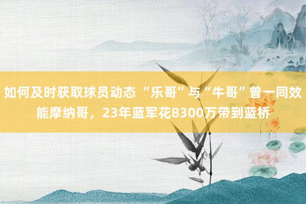 如何及时获取球员动态 “乐哥”与“牛哥”曾一同效能摩纳哥，23年蓝军花8300万带到蓝桥