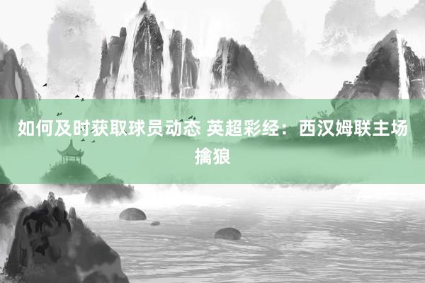 如何及时获取球员动态 英超彩经：西汉姆联主场擒狼