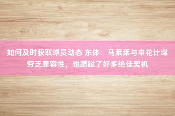 如何及时获取球员动态 东体：马莱莱与申花计谋穷乏兼容性，也蹧跶了好多绝佳契机