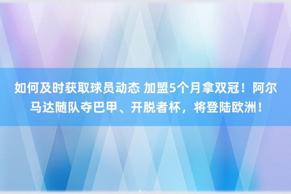 如何及时获取球员动态 加盟5个月拿双冠！阿尔马达随队夺巴甲、开脱者杯，将登陆欧洲！