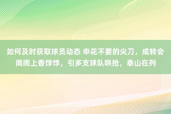 如何及时获取球员动态 申花不要的尖刀，成转会阛阓上香饽饽，引多支球队哄抢，泰山在列