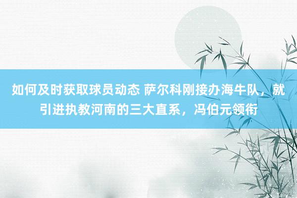 如何及时获取球员动态 萨尔科刚接办海牛队，就引进执教河南的三大直系，冯伯元领衔