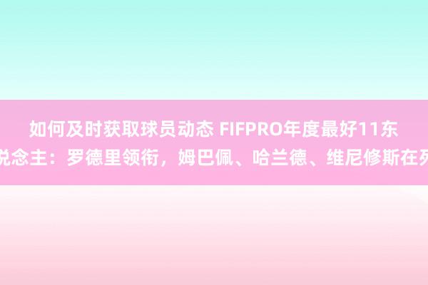 如何及时获取球员动态 FIFPRO年度最好11东说念主：罗德里领衔，姆巴佩、哈兰德、维尼修斯在列